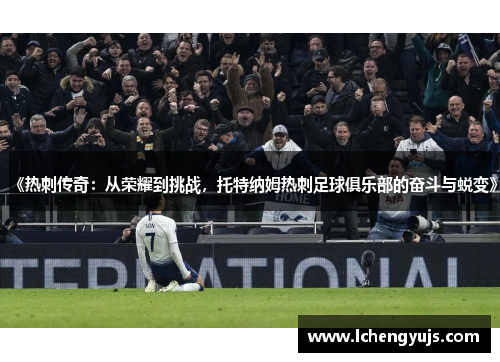 《热刺传奇：从荣耀到挑战，托特纳姆热刺足球俱乐部的奋斗与蜕变》