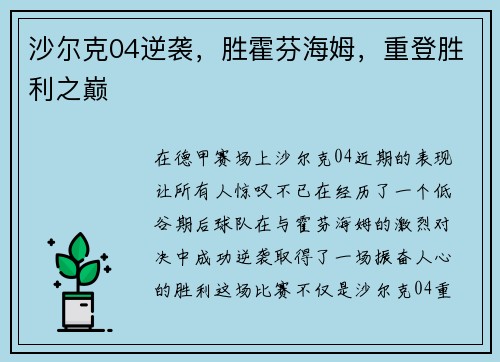 沙尔克04逆袭，胜霍芬海姆，重登胜利之巅